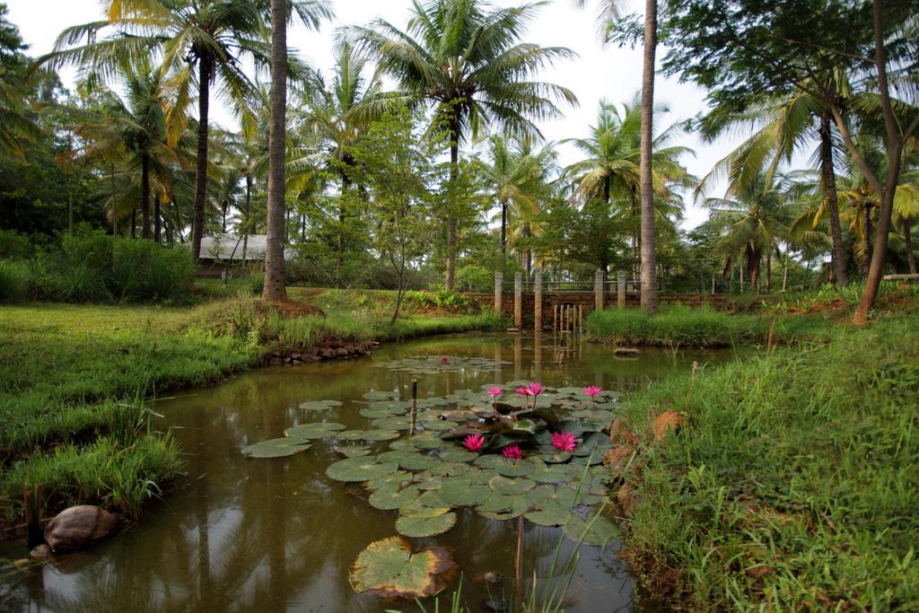 Shreyas Retreat Hotel Nelamangala Exterior foto